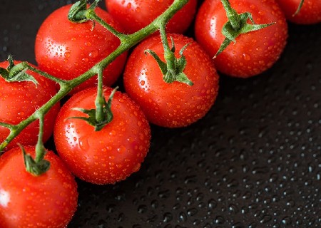قیمت گوجه فرنگی گلخانه ای یزد + خرید باور نکردنی